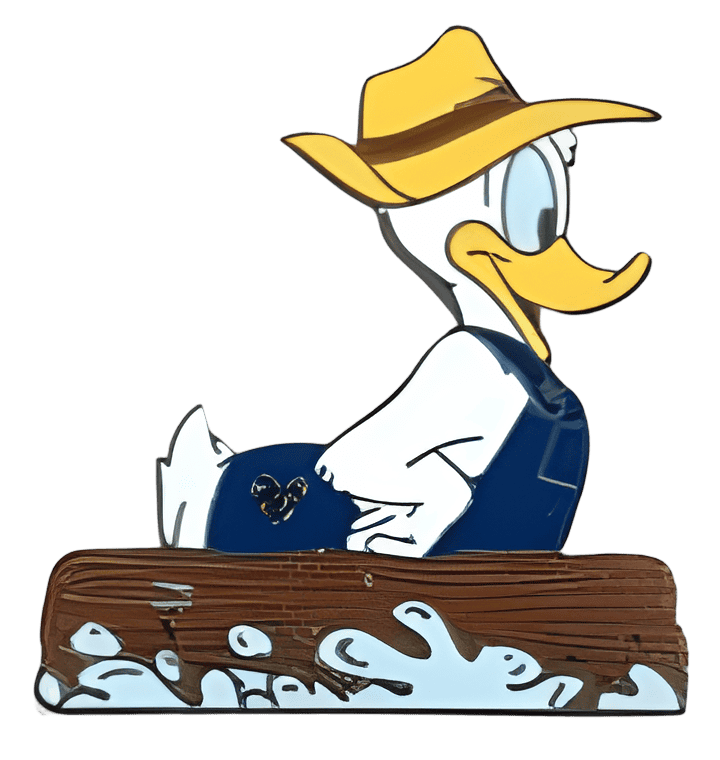 Splash Mountain Disney pin